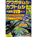 NK^VEJugV} DVD BOX