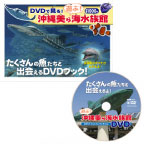 DVD�Ō���I�V�ԁI �������C������