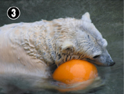 �ق����傭����