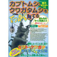 �J�u�g���V�E�N���K�^���V���ł�������Ă�